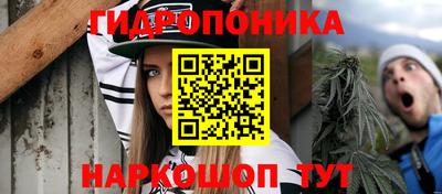 дурь Жуковский